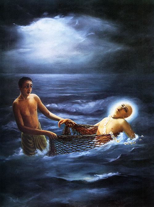 Lord Caitanya's body caught by a fisherman in his net.