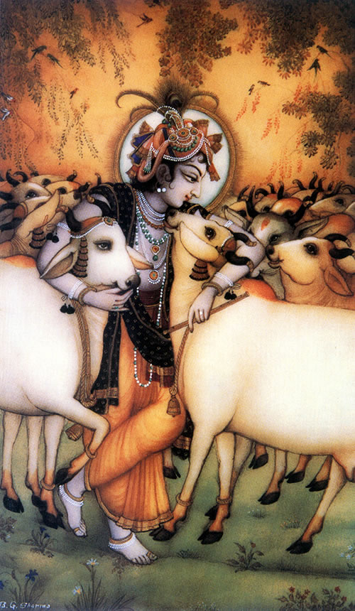 Lord Krsna ebraces His loving cows.